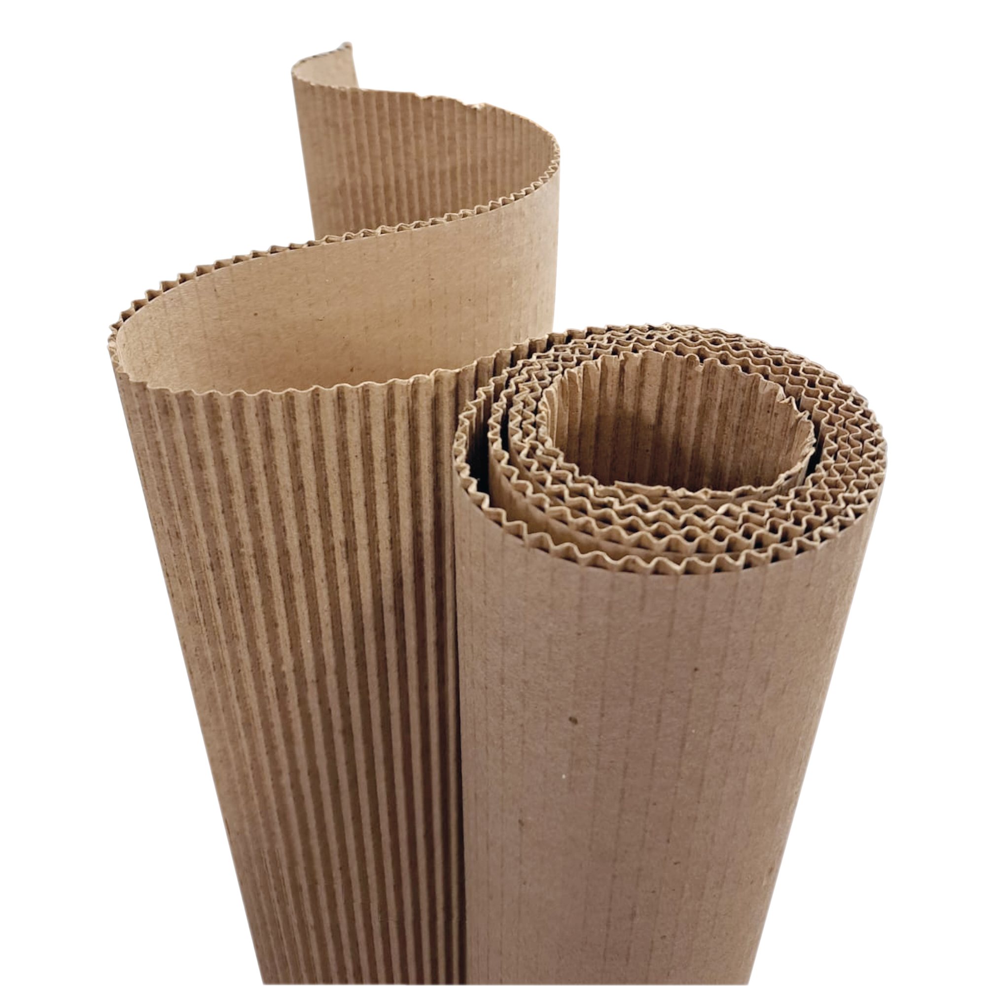 CARTON CORRUGADO